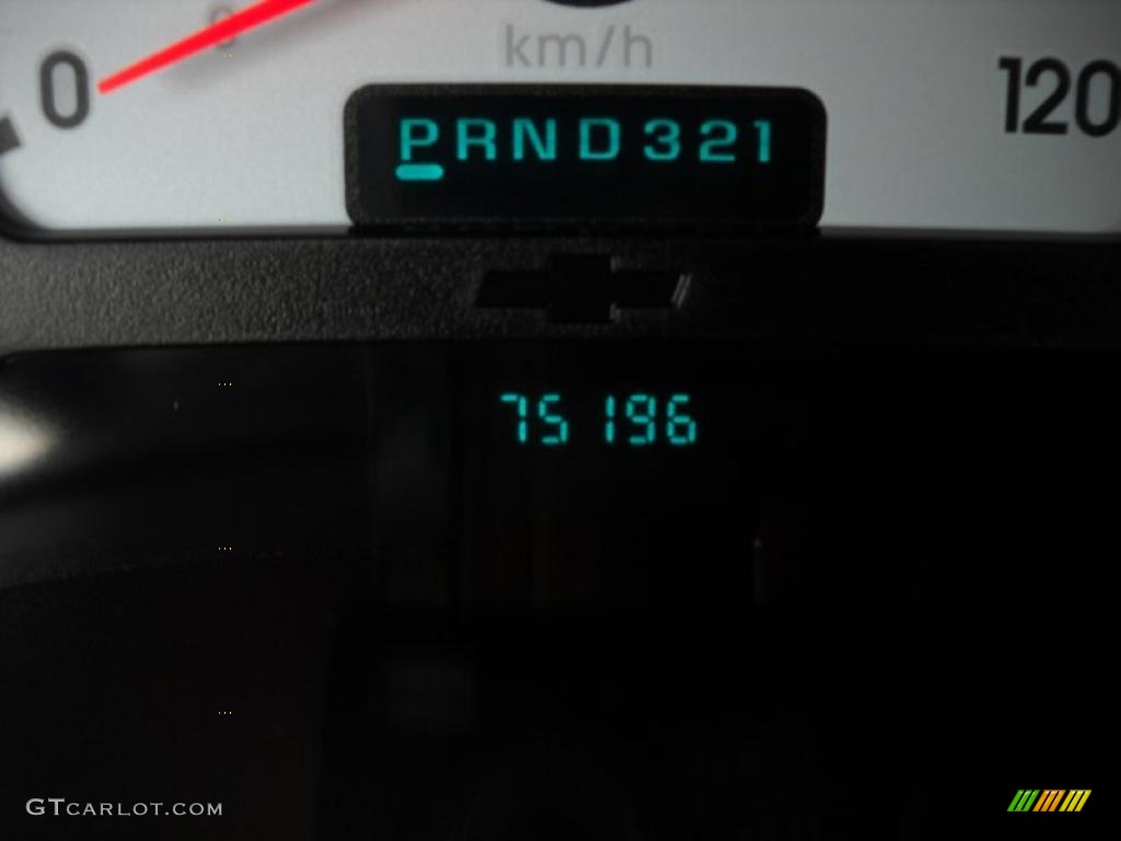 2005 TrailBlazer EXT LS 4x4 - Silverstone Metallic / Light Gray photo #20