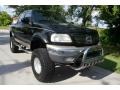 2001 Black Ford F150 Lariat SuperCrew 4x4  photo #15