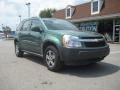 2005 Meander Green Metallic Chevrolet Equinox LS AWD  photo #1