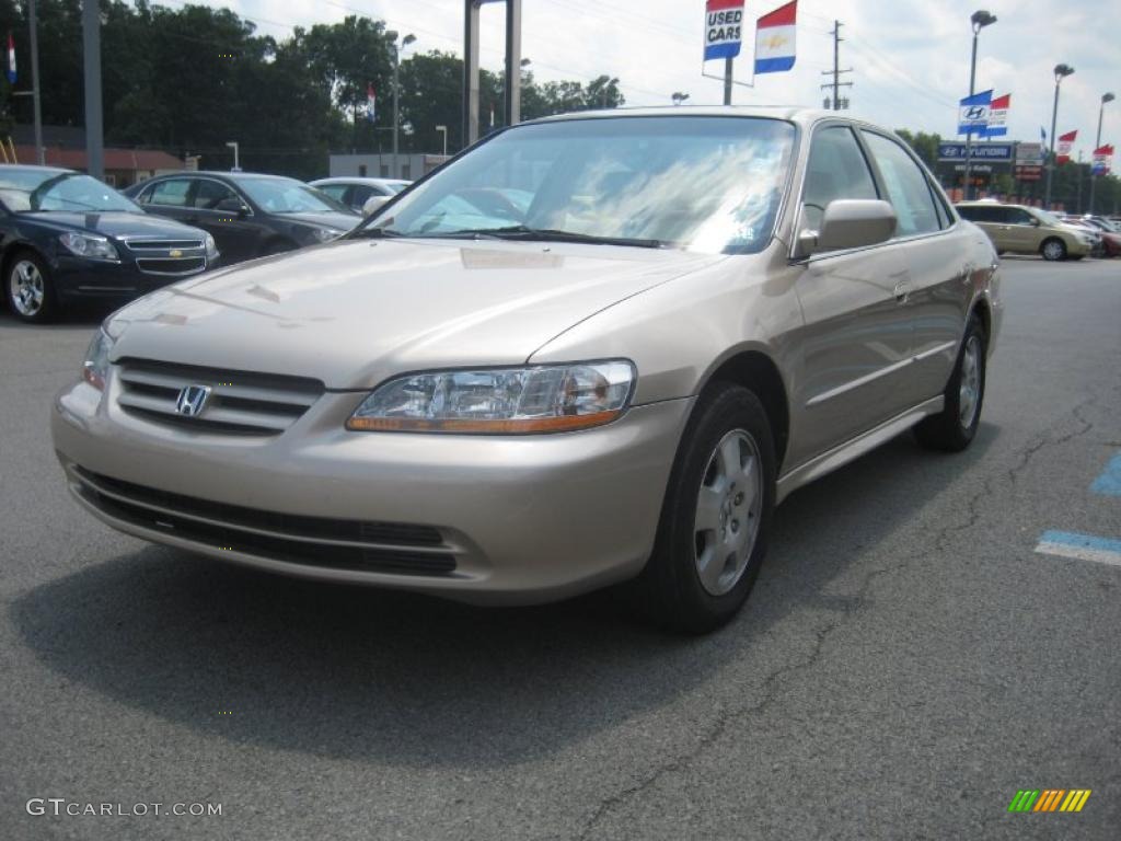 2002 Accord EX V6 Sedan - Naples Gold Metallic / Ivory photo #3