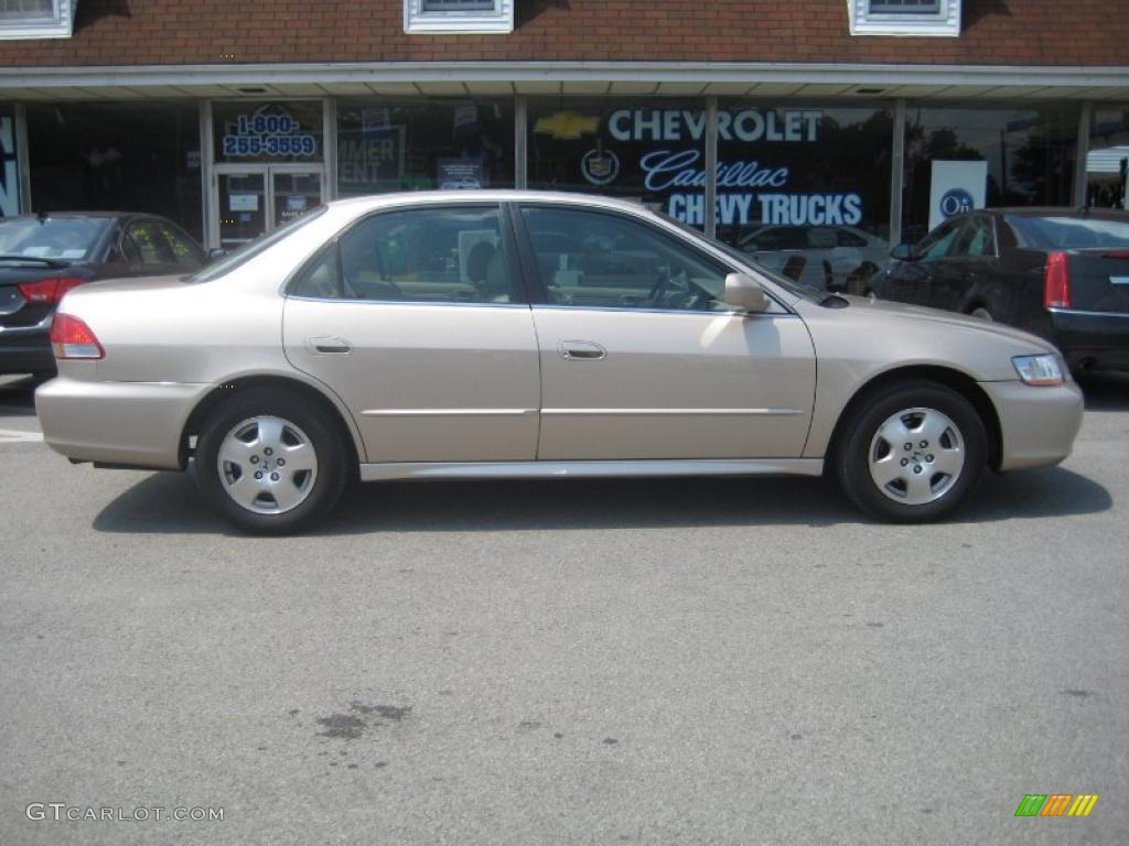 2002 Accord EX V6 Sedan - Naples Gold Metallic / Ivory photo #6