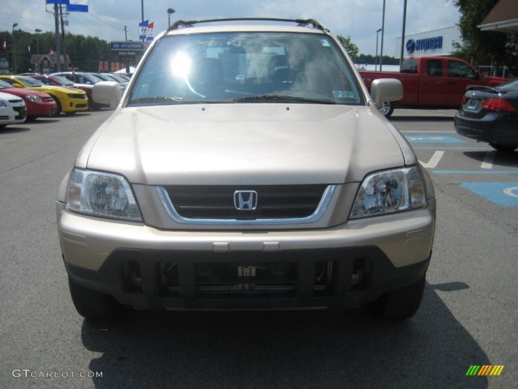 2001 CR-V Special Edition 4WD - Naples Gold Metallic / Black Leather photo #2