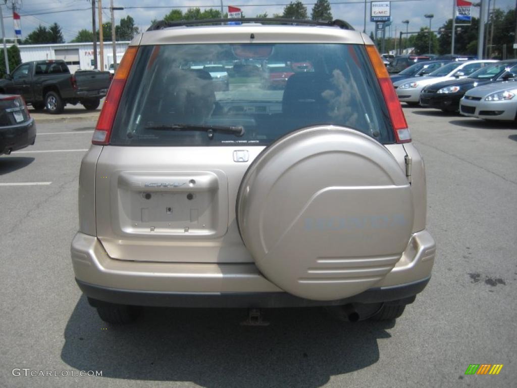2001 CR-V Special Edition 4WD - Naples Gold Metallic / Black Leather photo #5