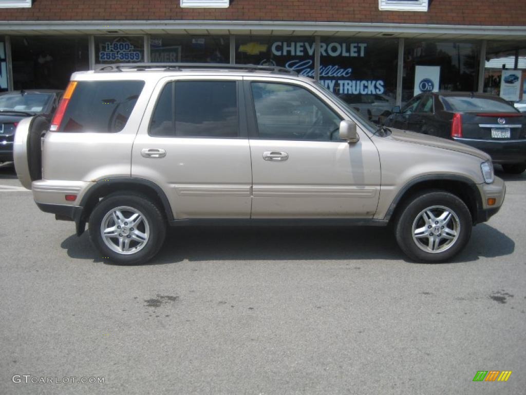 2001 CR-V Special Edition 4WD - Naples Gold Metallic / Black Leather photo #6
