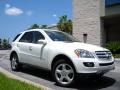 Arctic White - ML 350 4Matic Photo No. 4