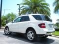 Arctic White - ML 350 4Matic Photo No. 8
