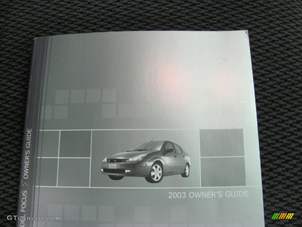 2003 Focus SE Sedan - Sangria Red Metallic / Medium Graphite photo #11