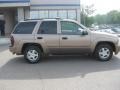 2002 Sandalwood Metallic Chevrolet TrailBlazer LT 4x4  photo #1