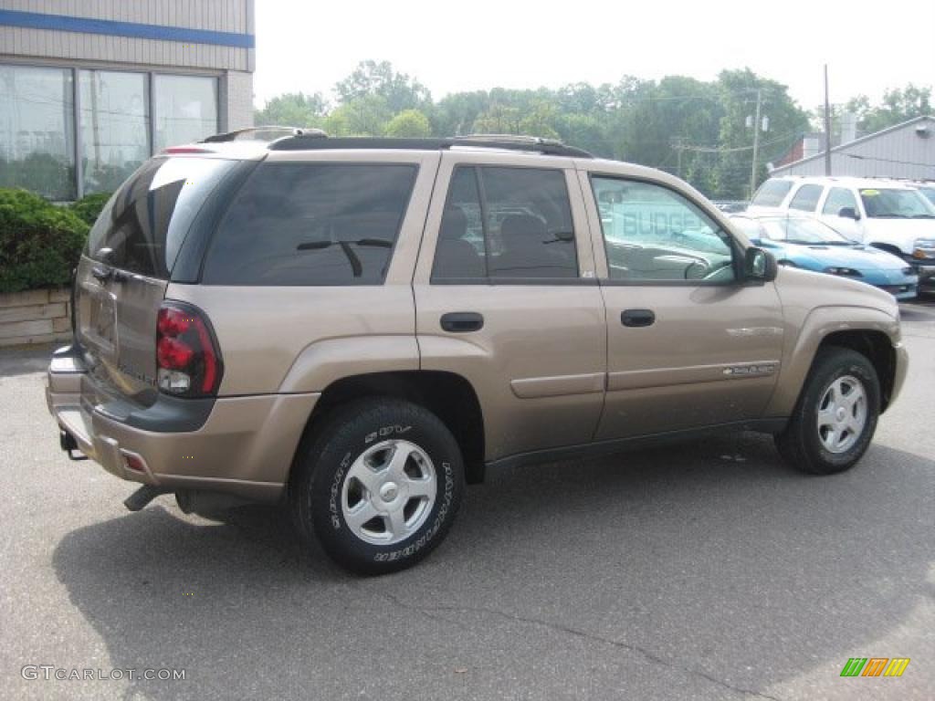 2002 TrailBlazer LT 4x4 - Sandalwood Metallic / Dark Pewter photo #2