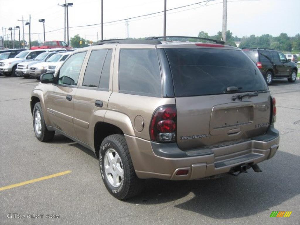 2002 TrailBlazer LT 4x4 - Sandalwood Metallic / Dark Pewter photo #5