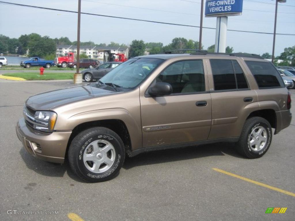 2002 TrailBlazer LT 4x4 - Sandalwood Metallic / Dark Pewter photo #7