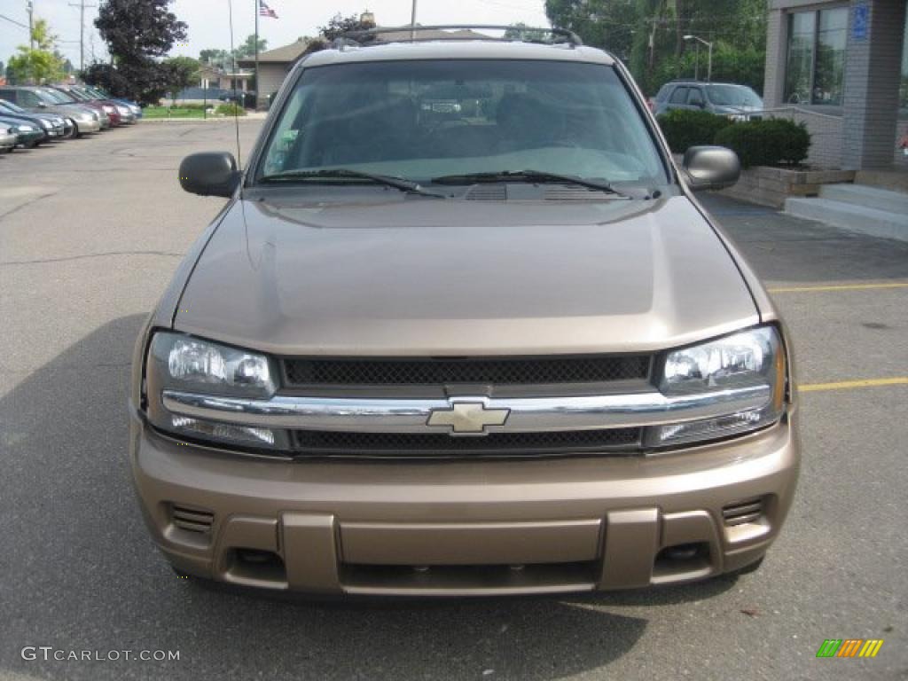 2002 TrailBlazer LT 4x4 - Sandalwood Metallic / Dark Pewter photo #9