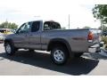 2001 Thunder Gray Metallic Toyota Tundra SR5 TRD Extended Cab 4x4  photo #4