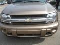 2002 Sandalwood Metallic Chevrolet TrailBlazer LT 4x4  photo #16