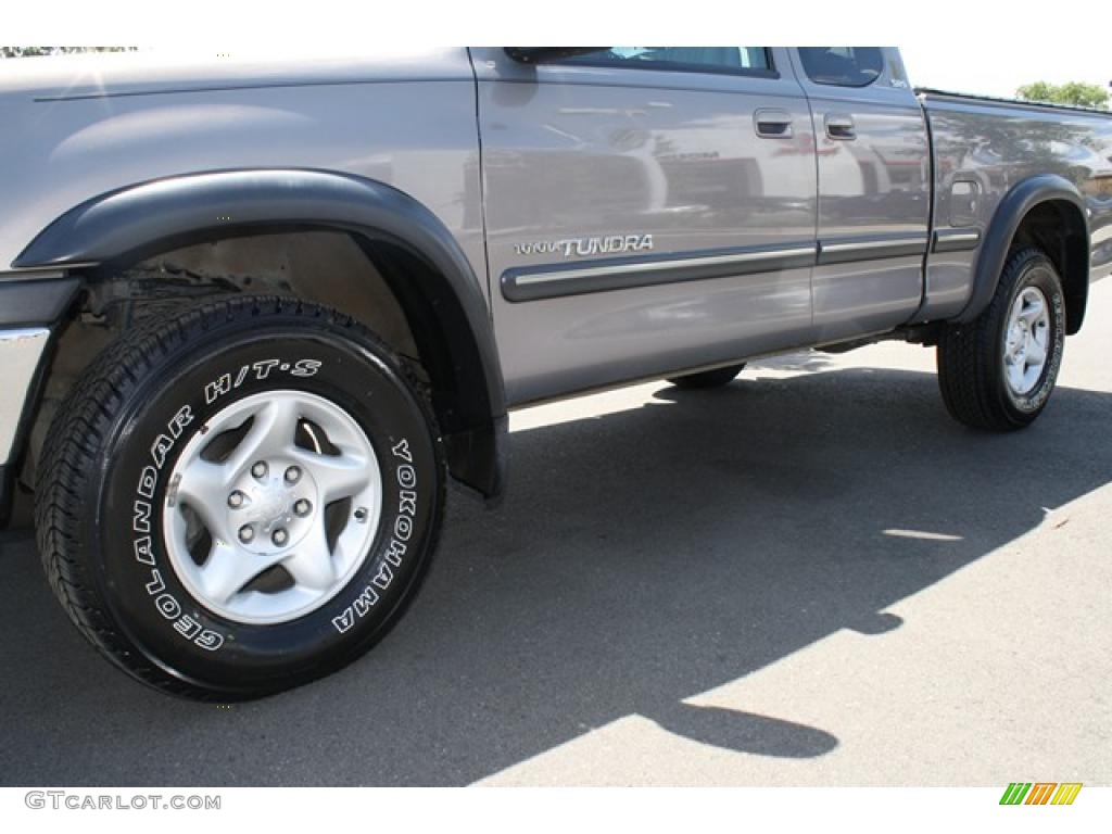 2001 Tundra SR5 TRD Extended Cab 4x4 - Thunder Gray Metallic / Light Charcoal photo #28