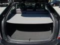 Magnetic Gray Metallic - Prius Hybrid Photo No. 11