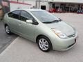 2009 Silver Pine Mica Toyota Prius Hybrid Touring  photo #3