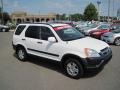 2004 Taffeta White Honda CR-V EX 4WD  photo #7