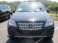 Black - ML 350 4Matic Photo No. 2