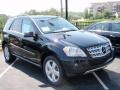 Black - ML 350 4Matic Photo No. 3