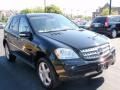 Black - ML 350 4Matic Photo No. 3