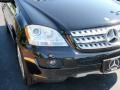 Black - ML 350 4Matic Photo No. 4
