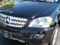 Black - ML 350 4Matic Photo No. 5