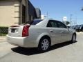 Gold Mist - CTS Sedan Photo No. 6