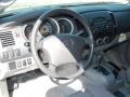 2009 Magnetic Gray Metallic Toyota Tacoma Regular Cab  photo #12