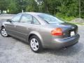 Alpaka Beige Metallic - A6 3.0 quattro Sedan Photo No. 5