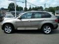 Platinum Bronze Metallic - X5 xDrive30i Photo No. 8