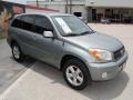 Everglade Green Metallic - RAV4  Photo No. 3