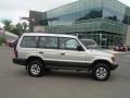 Warm Springs Silver Metallic 1995 Mitsubishi Montero LS 4x4