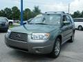 Evergreen Metallic - Forester 2.5 X L.L.Bean Edition Photo No. 1