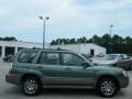 Evergreen Metallic - Forester 2.5 X L.L.Bean Edition Photo No. 6