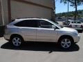 Savannah Beige Metallic - RX 350 AWD Photo No. 8