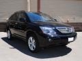 Black Onyx - RX 400h AWD Hybrid Photo No. 1