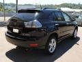 Black Onyx - RX 400h AWD Hybrid Photo No. 7