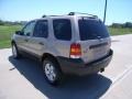 2007 Dune Pearl Metallic Ford Escape XLT V6 4WD  photo #7