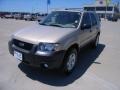 2007 Dune Pearl Metallic Ford Escape XLT V6 4WD  photo #9