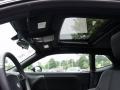 Brilliant Black Crystal Pearl - Challenger R/T Photo No. 13