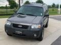 2006 Dark Shadow Grey Metallic Ford Escape XLT V6  photo #15