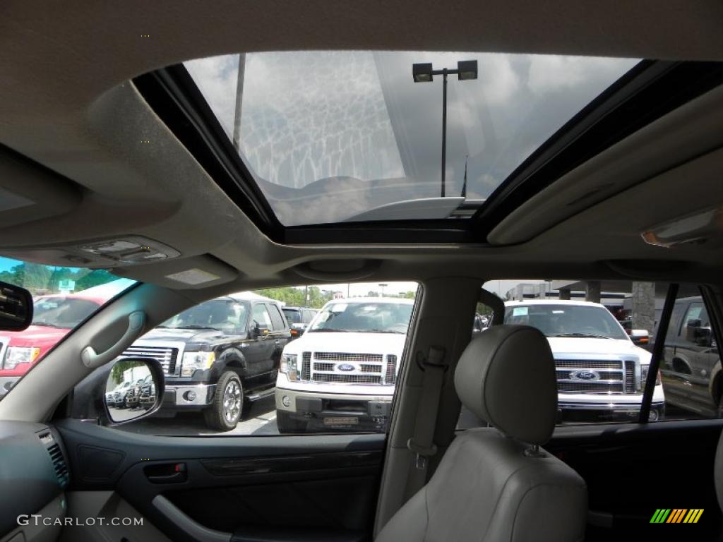 2004 4Runner Limited - Galactic Gray Mica / Stone photo #19