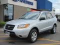Bright Silver - Santa Fe GLS 4WD Photo No. 1