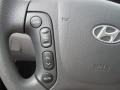 Bright Silver - Santa Fe GLS 4WD Photo No. 26