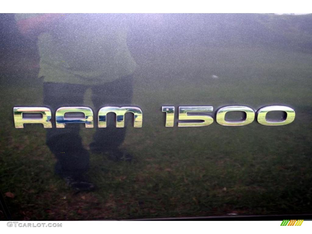 2003 Ram 1500 Laramie Quad Cab 4x4 - Graphite Metallic / Dark Slate Gray photo #106