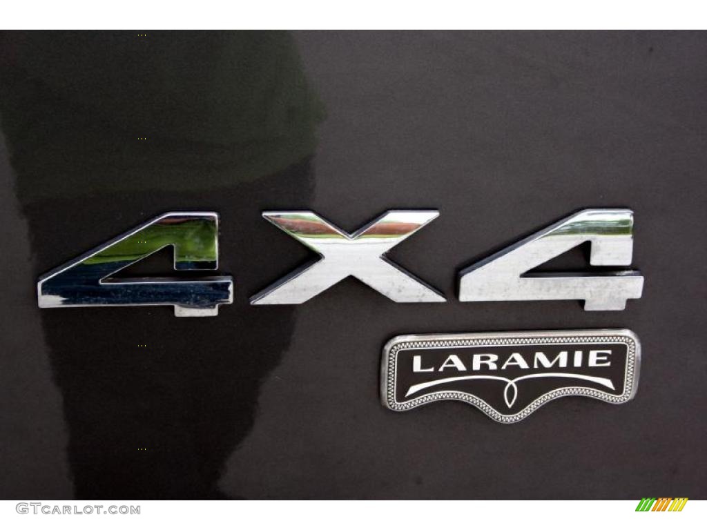 2003 Ram 1500 Laramie Quad Cab 4x4 - Graphite Metallic / Dark Slate Gray photo #110