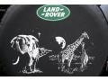 2001 Bonatti Gray Land Rover Discovery II SE  photo #58