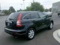 Nighthawk Black Pearl - CR-V EX 4WD Photo No. 5