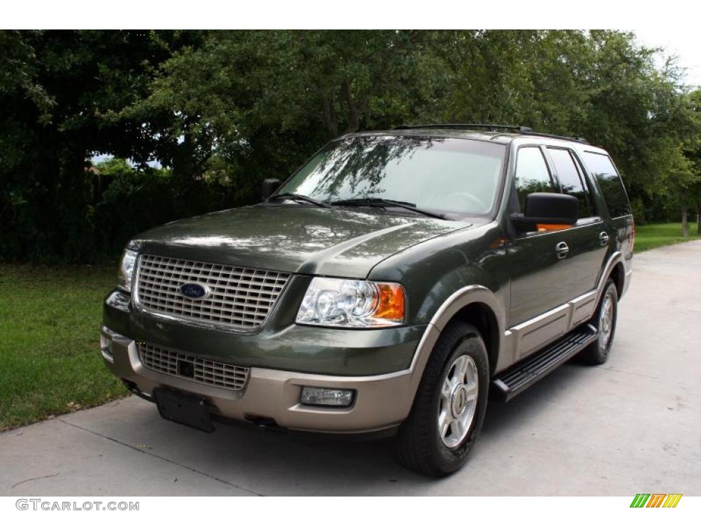 Estate Green Metallic Ford Expedition